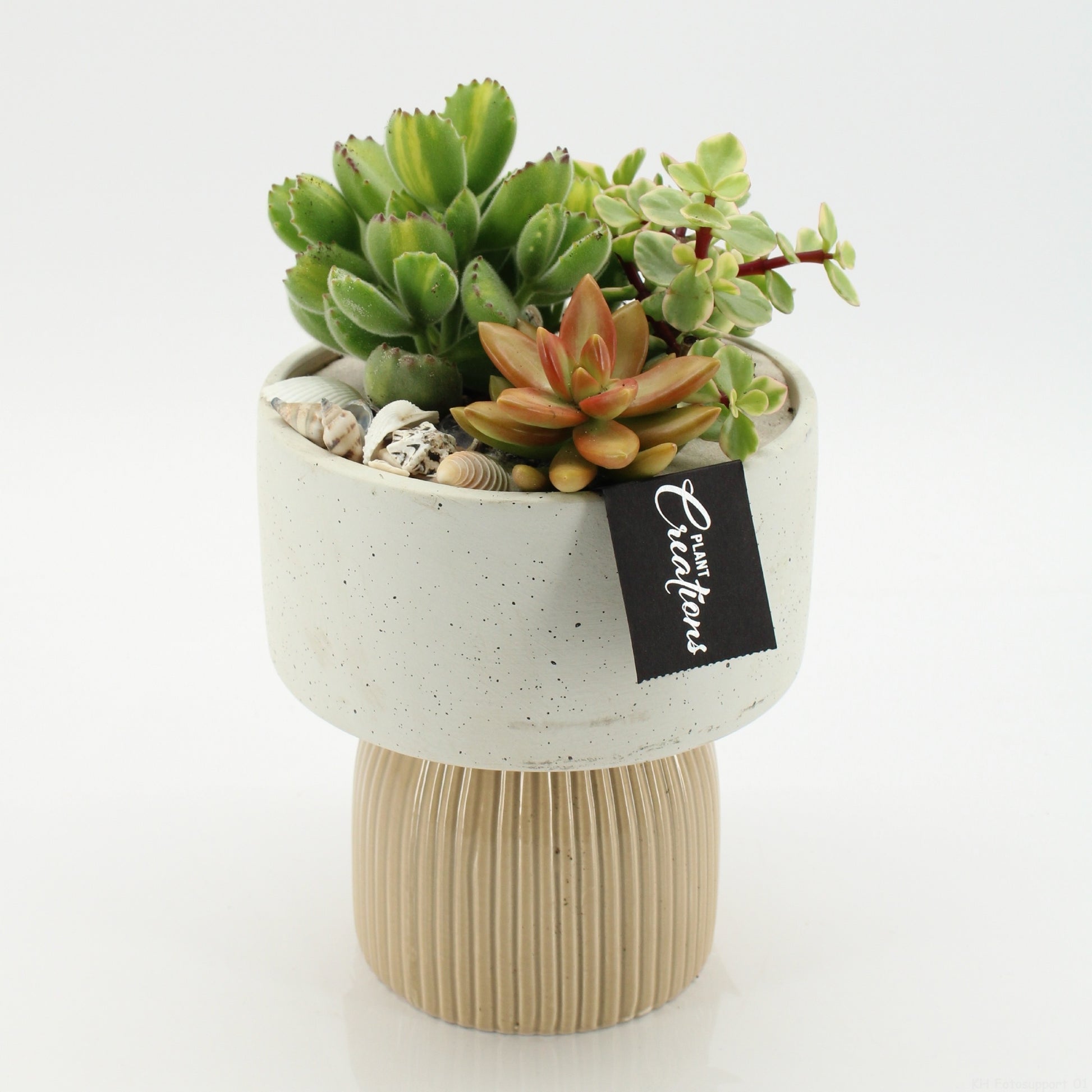 SGCR-2608 Summer Greens 30cm 16cm Pot