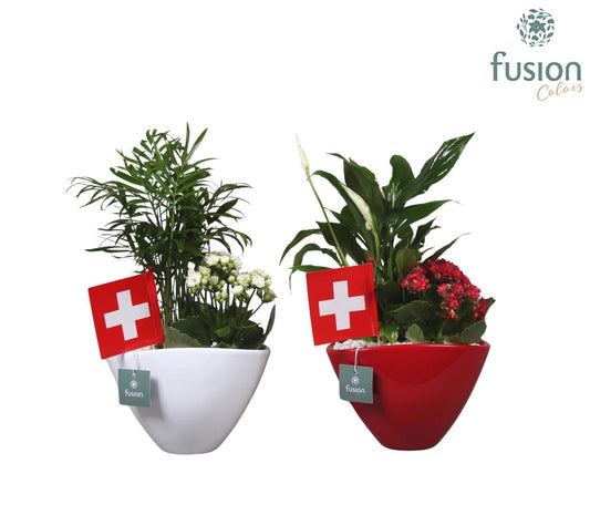 Keramiek bootpot rood en wit met Arrangent en de vlag van Zwitserland 35cm 23cm Pot