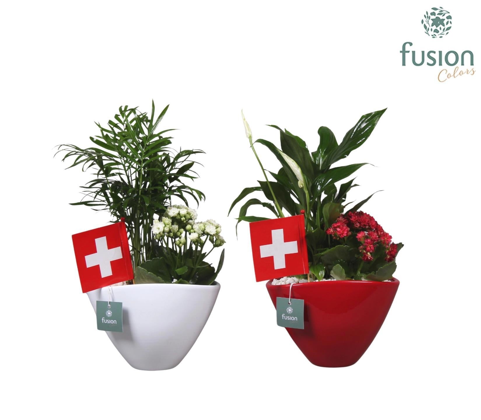 Fusioncolors BV Keramiek bootpot rood en wit met Arrangent en de vlag van Zwitserland Pack of 5
