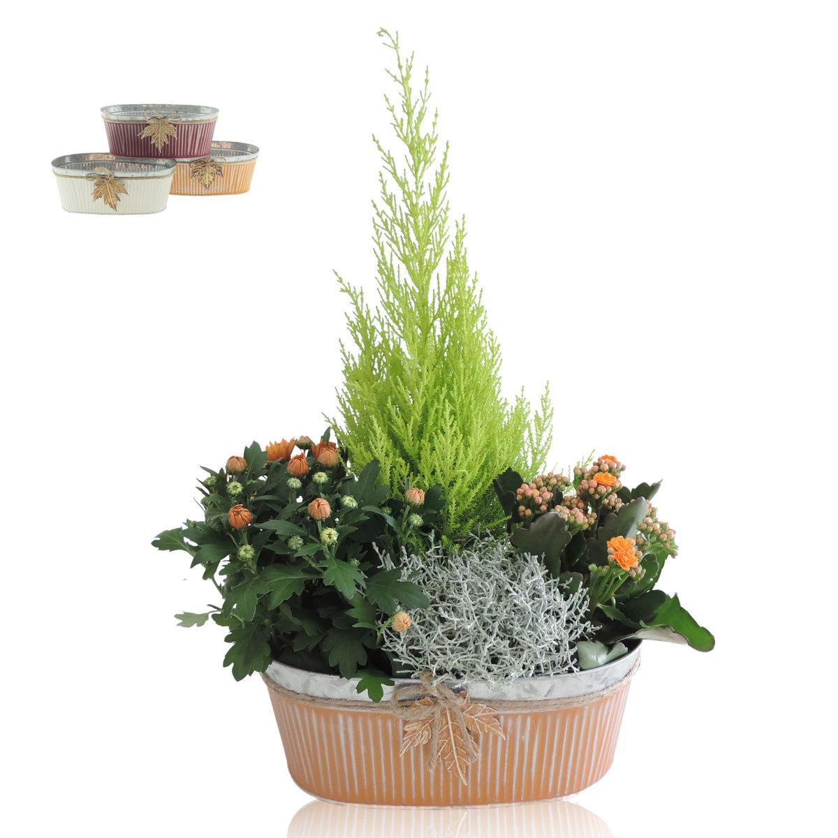 Outdoor arrangement 40cm 30cm Pot