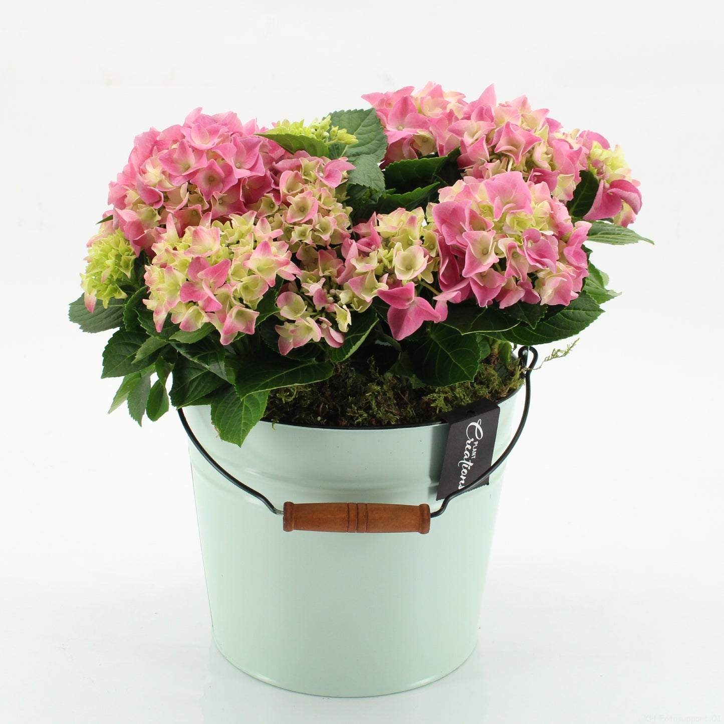 KHCR-2616RZ Hydrangea creations 35cm 21cm Pot