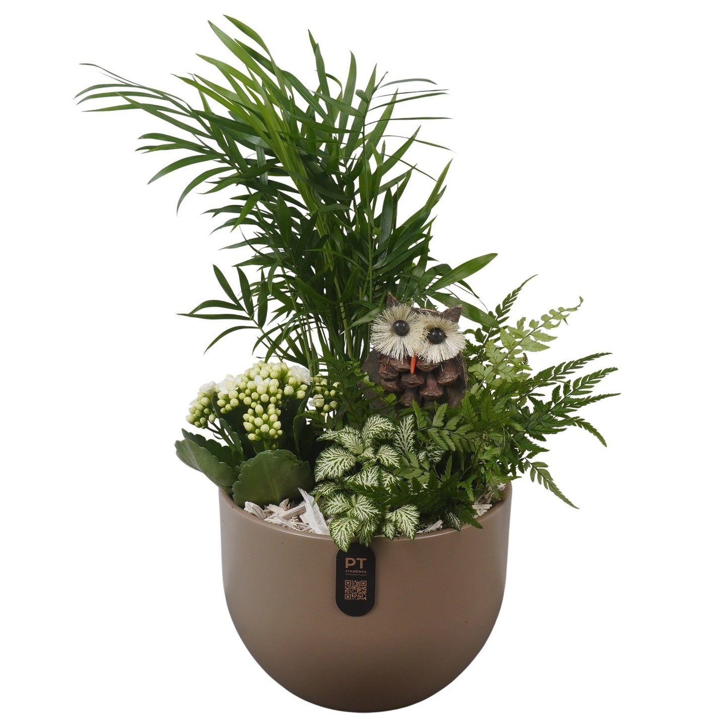 Indoor arrangement 45cm 19cm Pot