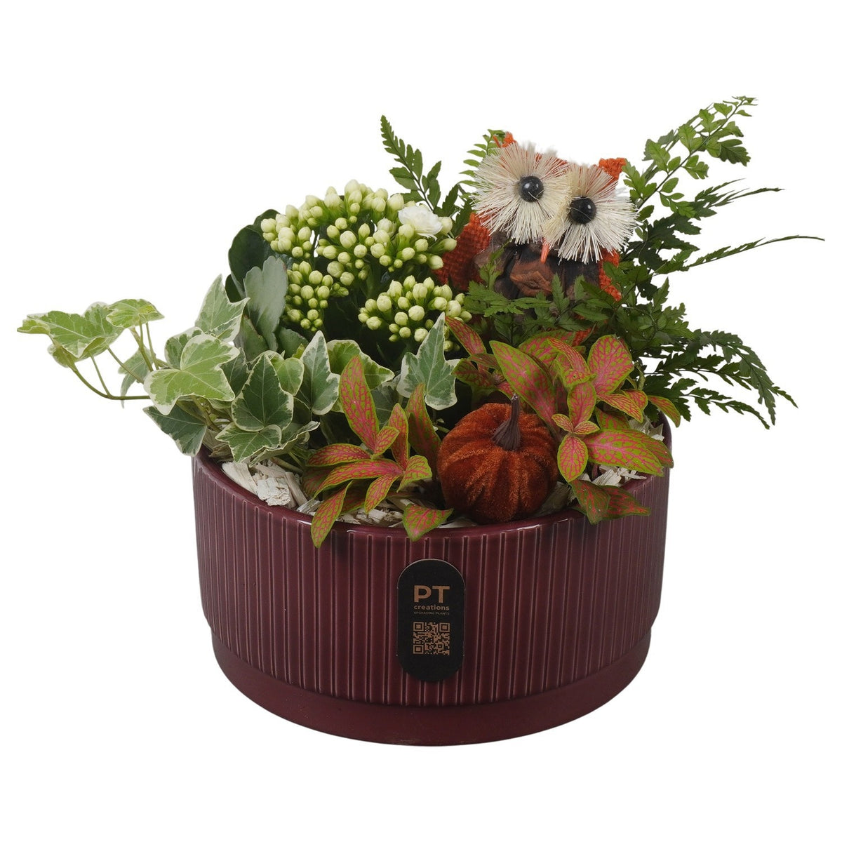 Indoor arrangement 20cm 19cm Pot