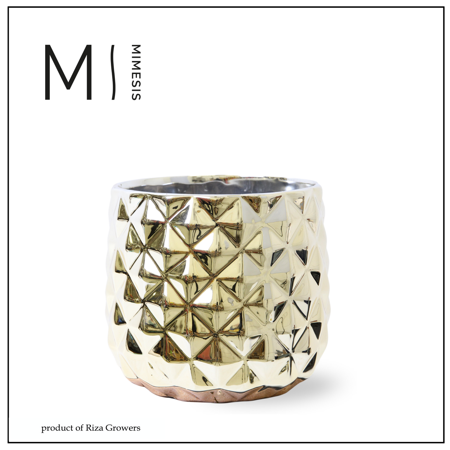 Ceramicpottery