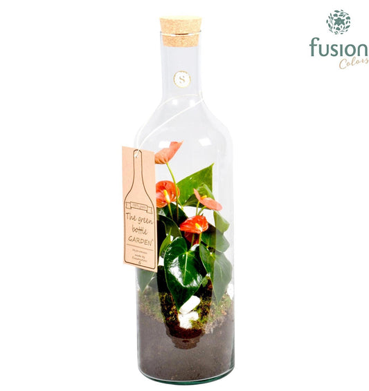 Green Bottle Fles Large met Anthurium Oranje 55cm 15cm Pot