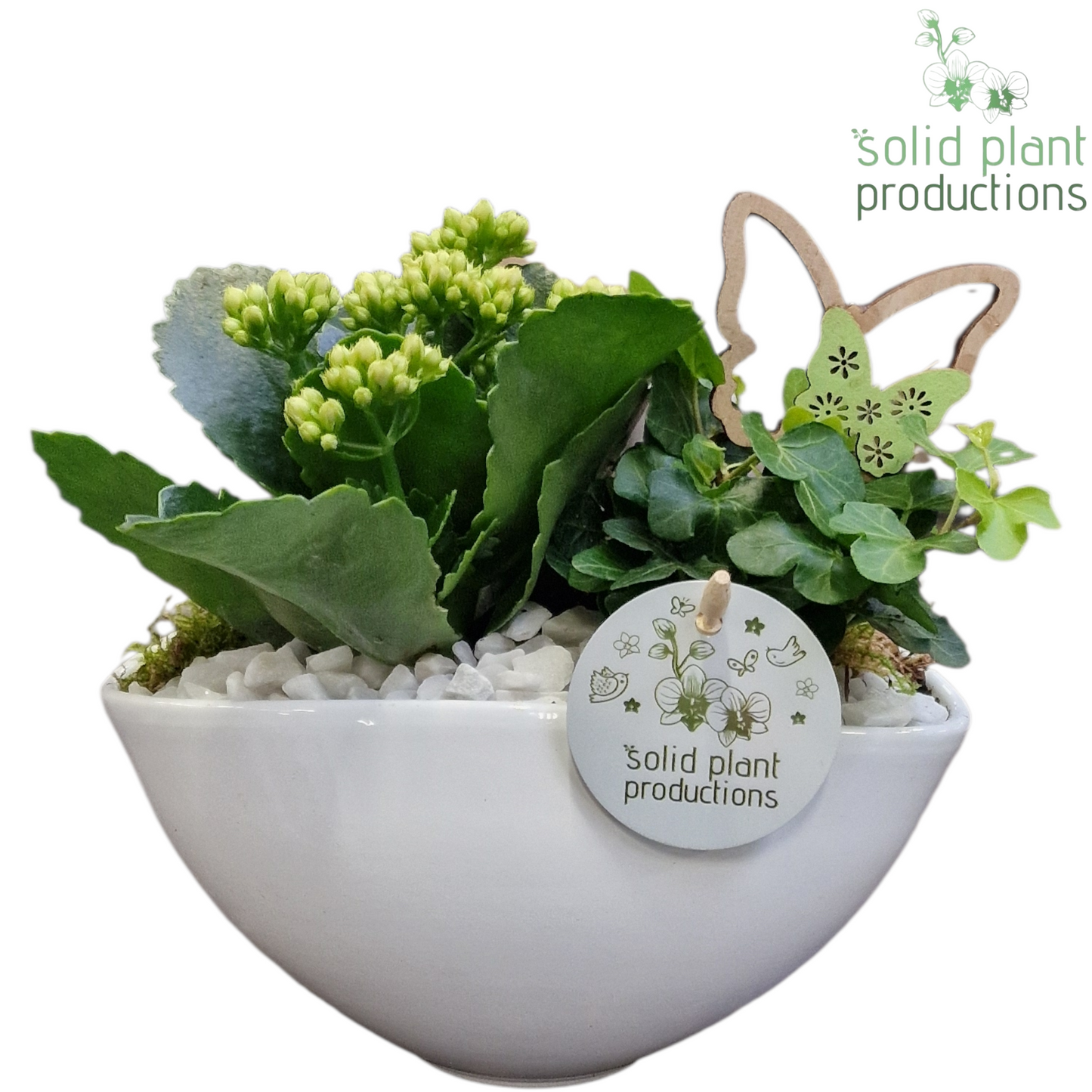 KH006 Katty White 22cm 19cm Pot