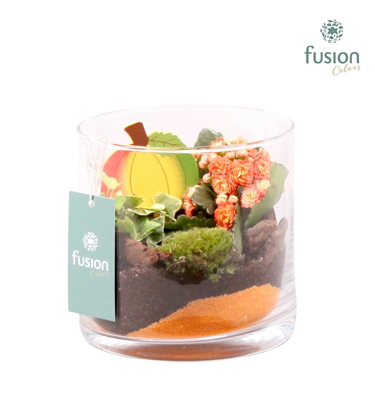 Fusioncolors BV Glas Cilinder Lucille klein Herfst met Arrangement 2pp Pack of 3