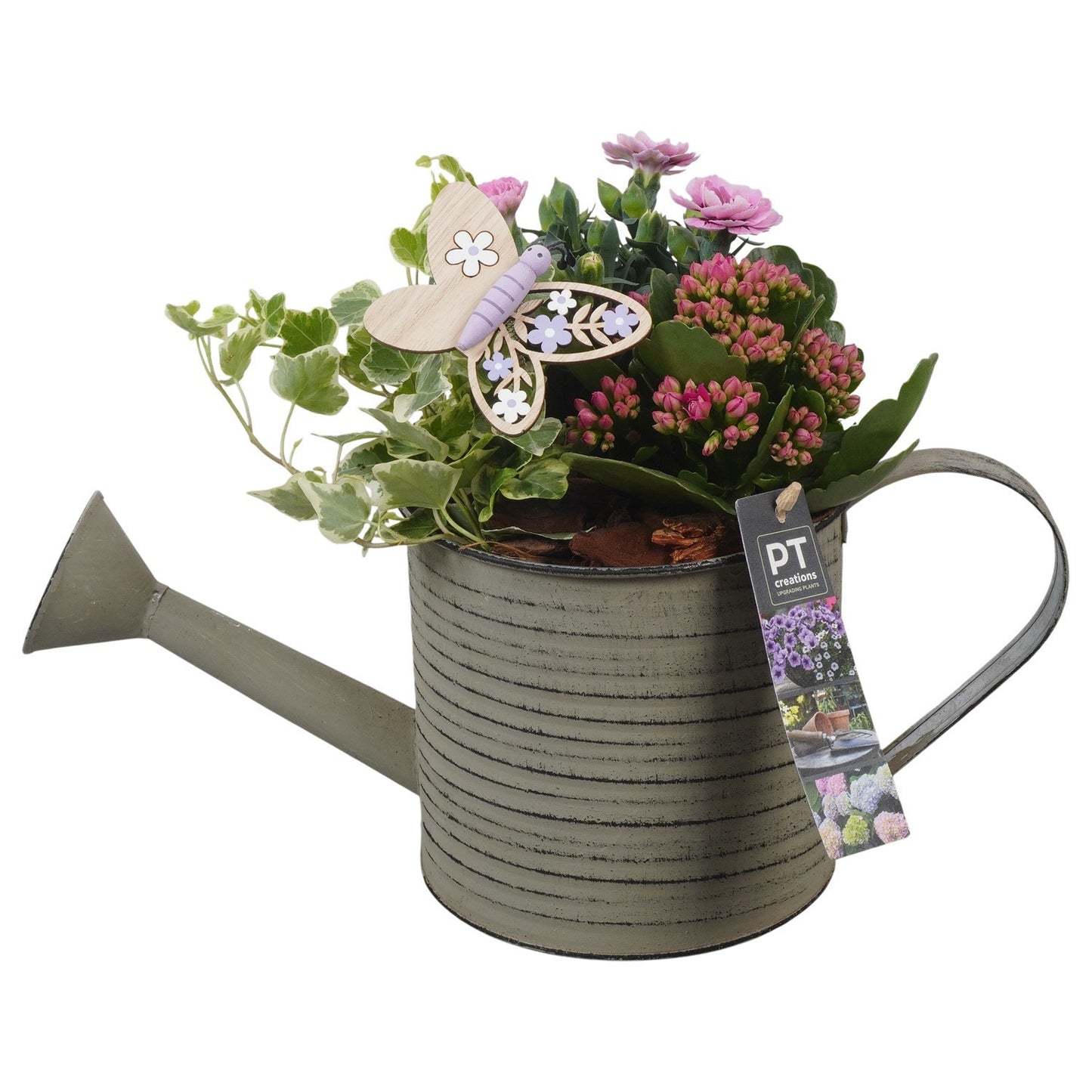 Outdoor arrangement 25cm 34cm Pot