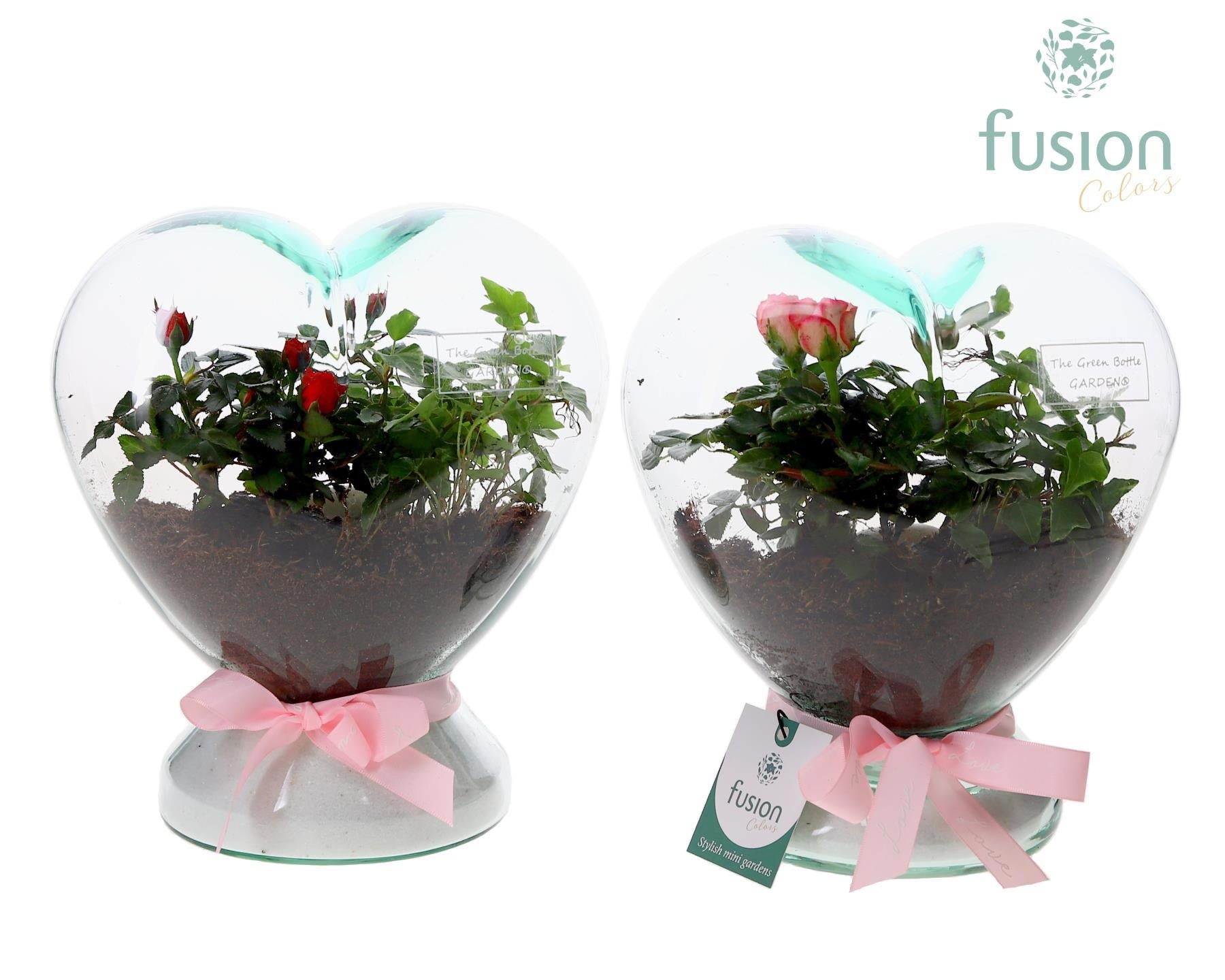 Green Bottle Glazen Hart helder met Arrangement 25cm 20cm Pot