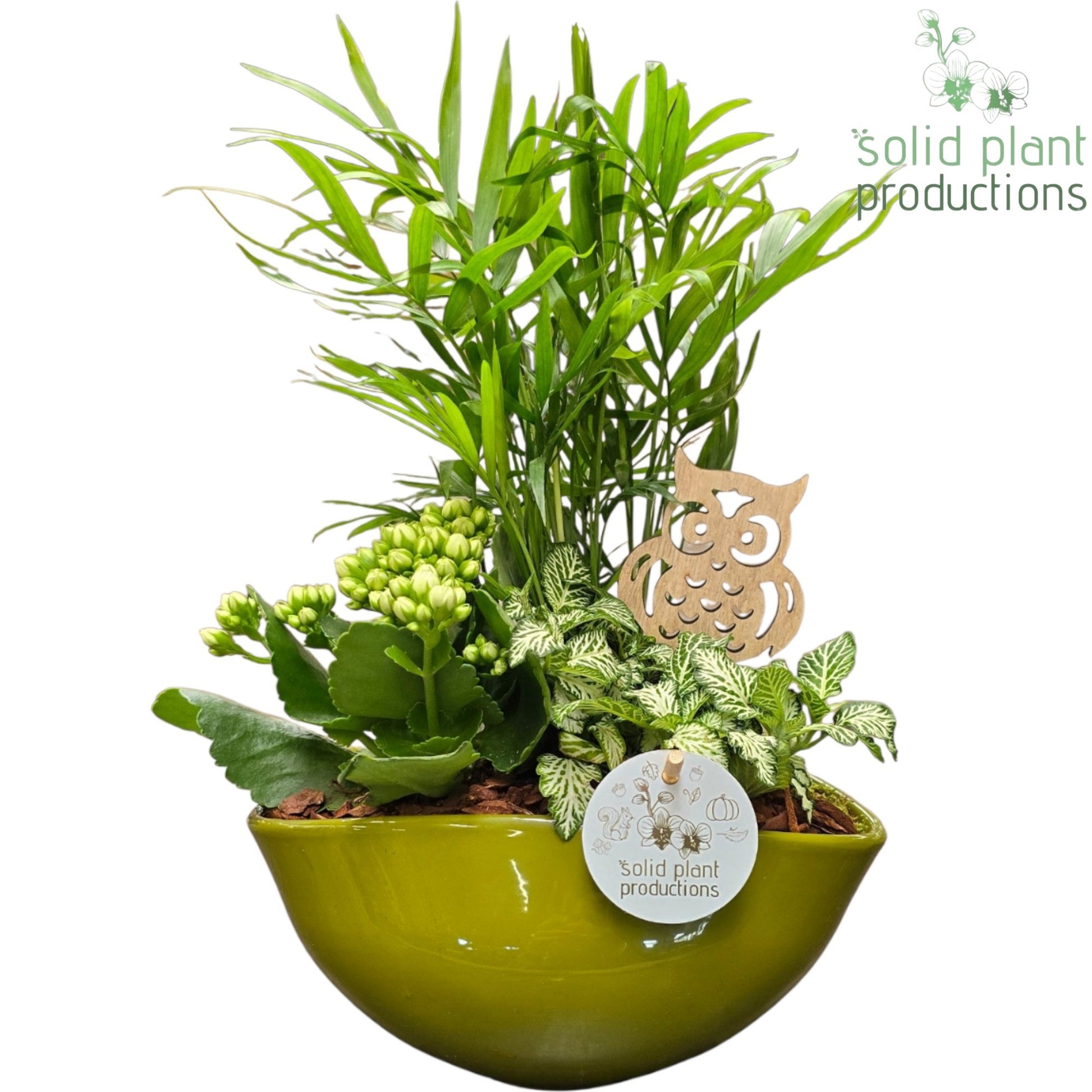 CH005 Evelyn Green White 38cm 22cm Pot