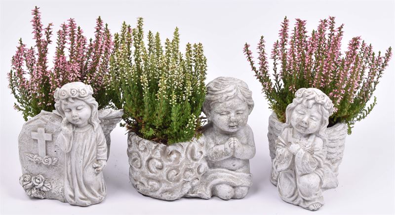 arr. JSAL-2003 16cm Pot