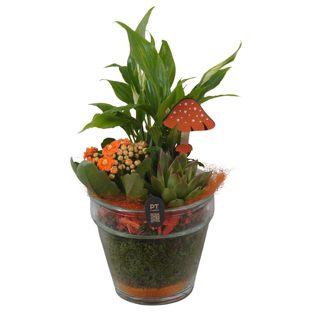 Indoor arrangement 29cm 13cm Pot