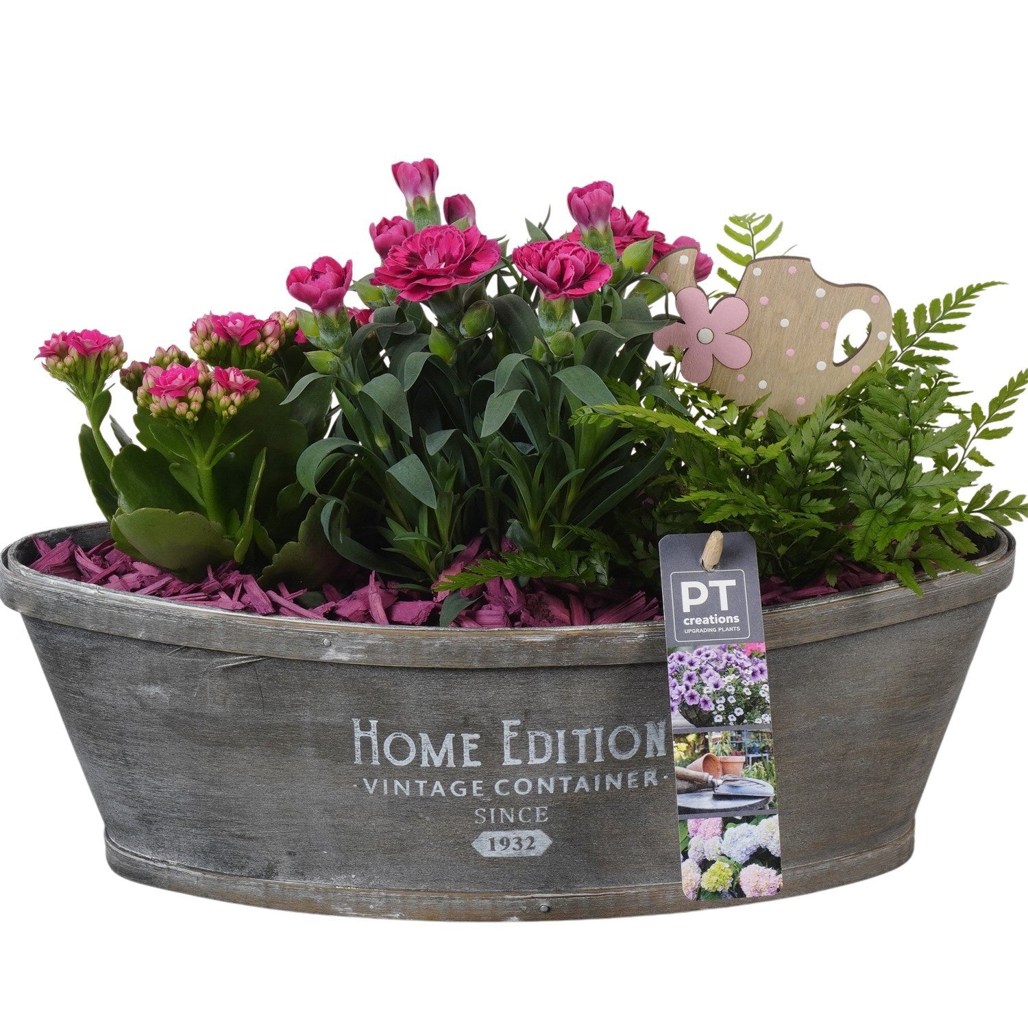 Outdoor arrangement 23cm 32cm Pot
