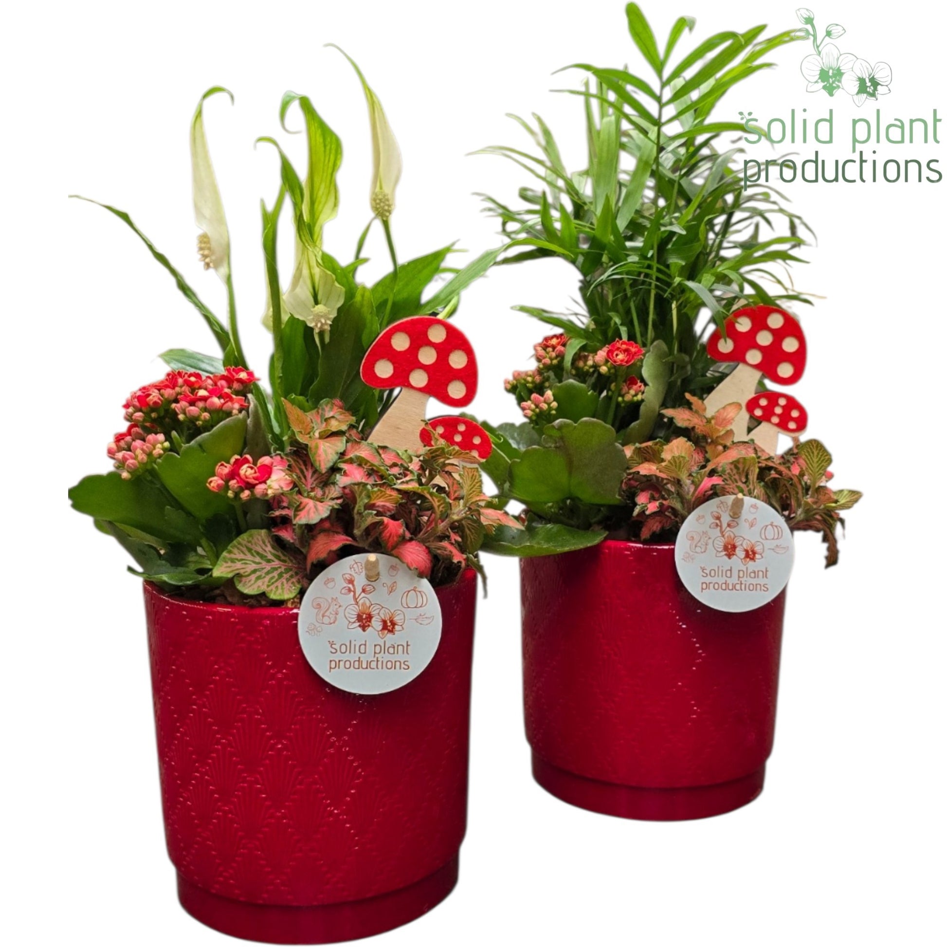 SC001 Amy Red Mix 40cm 13cm Pot