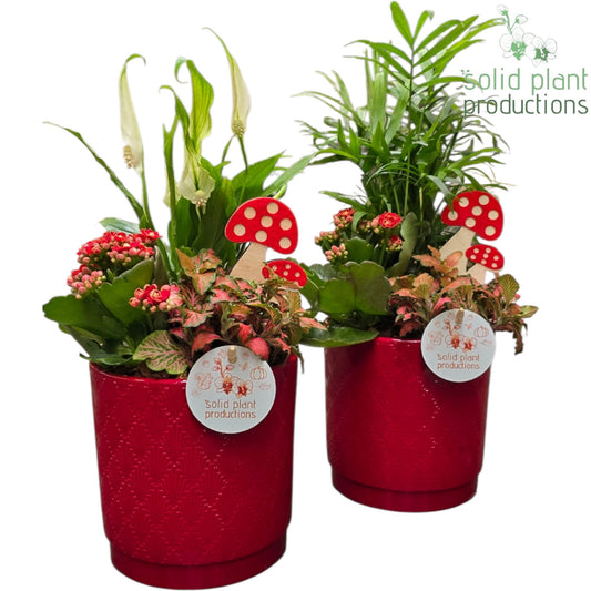 SC001 Amy Red Mix 40cm 13cm Pot