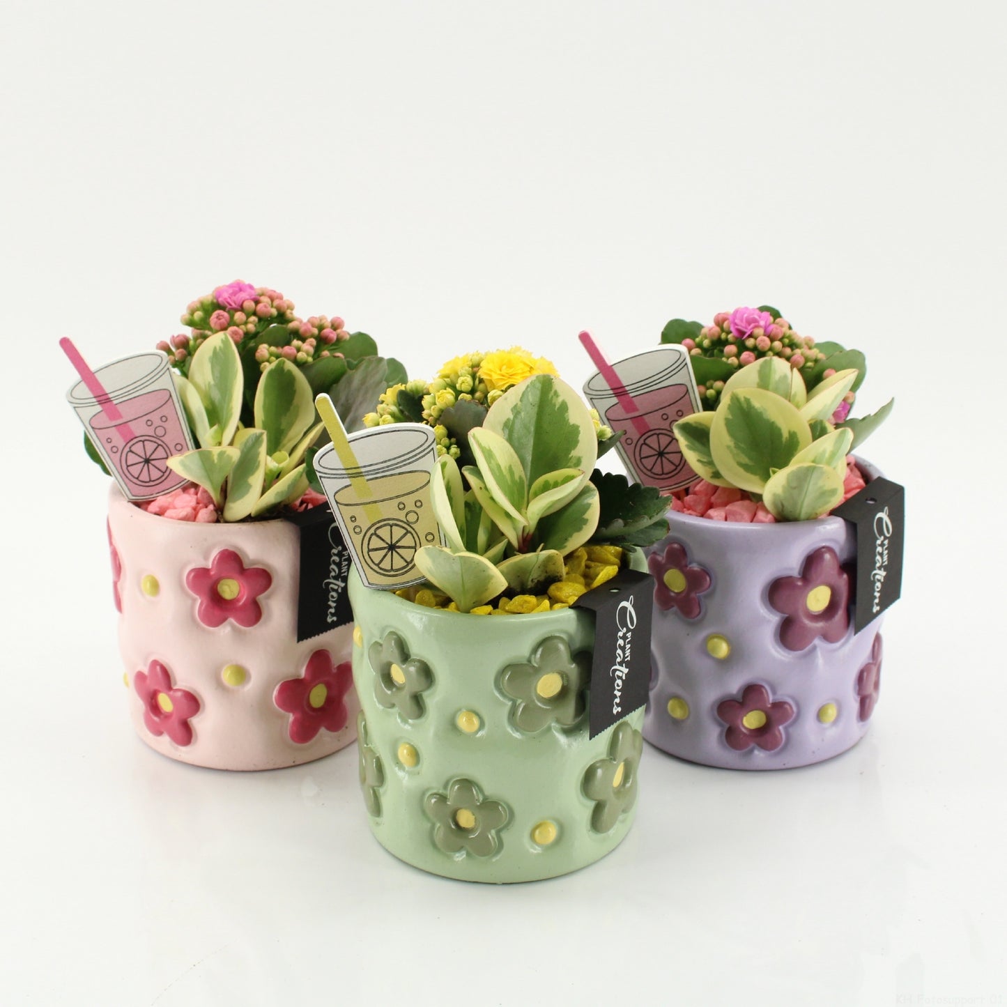 SECR-2601 Summer Essentials Colors 20cm 11cm Pot