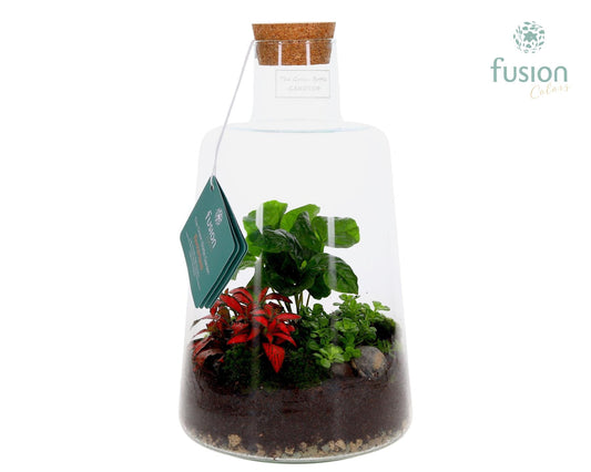 Glas Terrarium Elise met Arrangement 3pp 35cm 19cm Pot