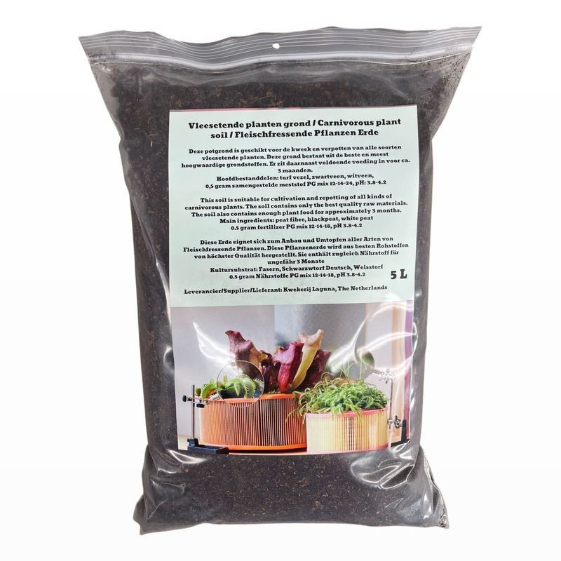 Kwekerij Laguna BV Plants Pack of 4