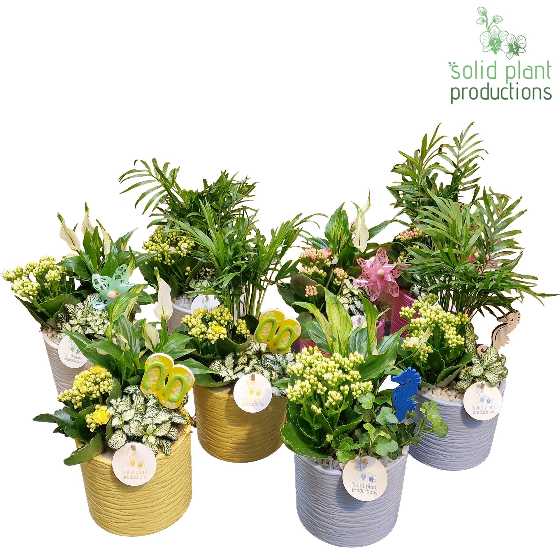 SC001 Amy Summer Mix 38cm 14cm Pot