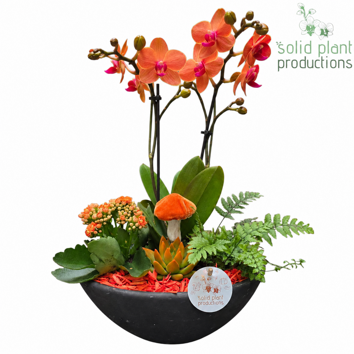 PH011 Ebbi Medium Orange Autumn 45cm 27cm Pot