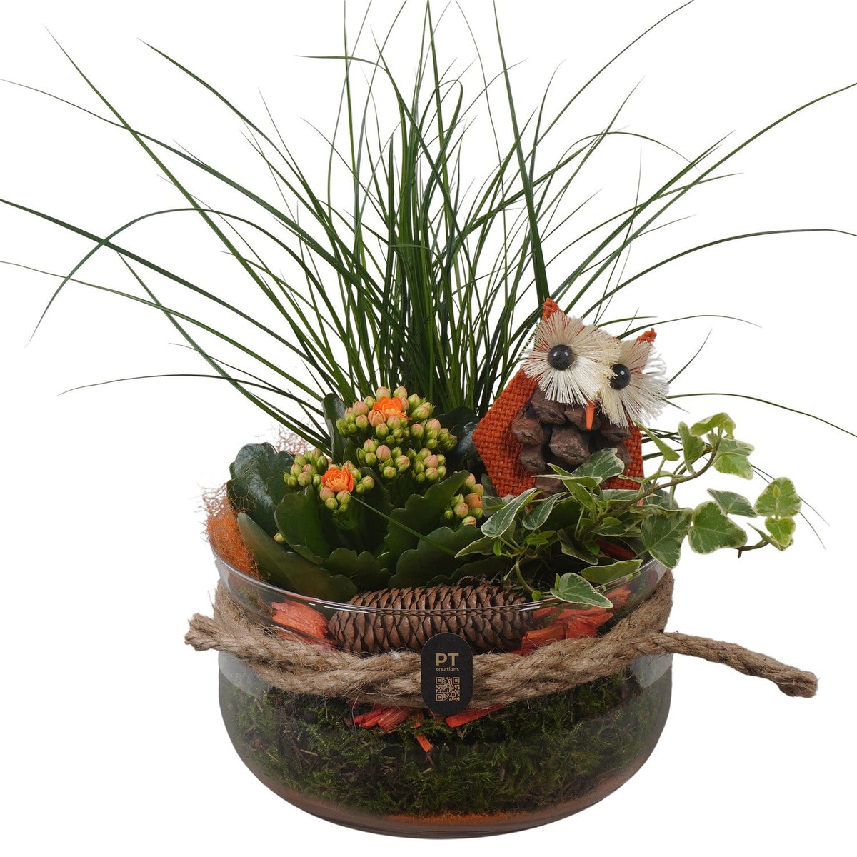 Indoor arrangement 32cm 18cm Pot