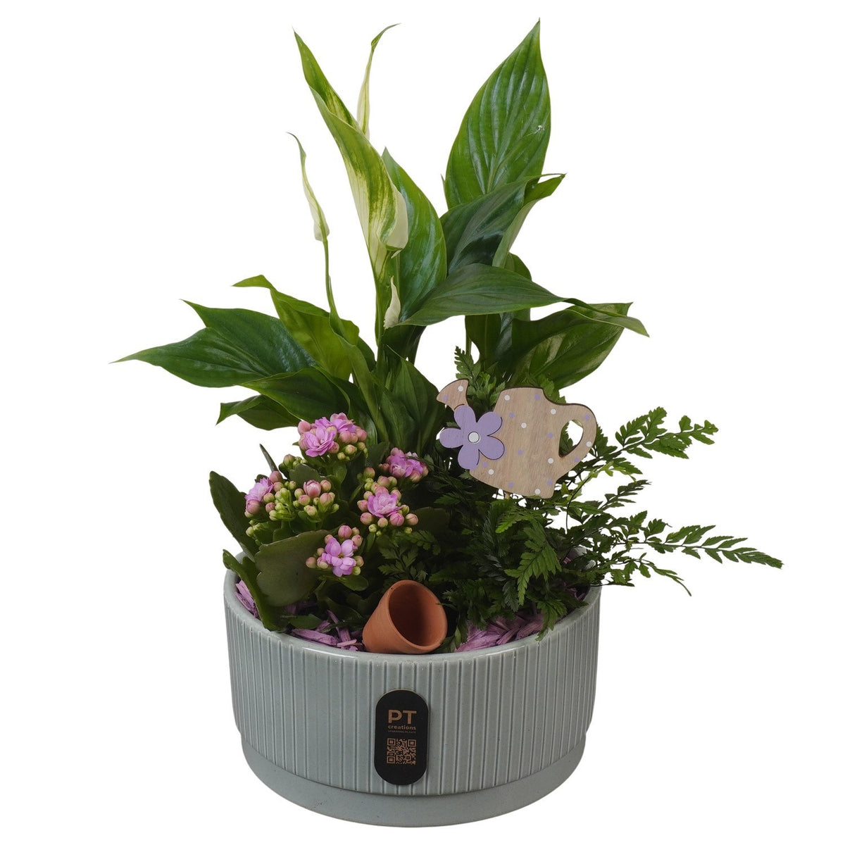Indoor arrangement 36cm 19cm Pot