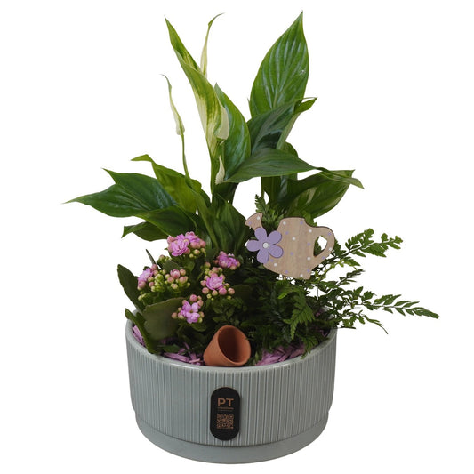 Indoor arrangement 36cm 19cm Pot
