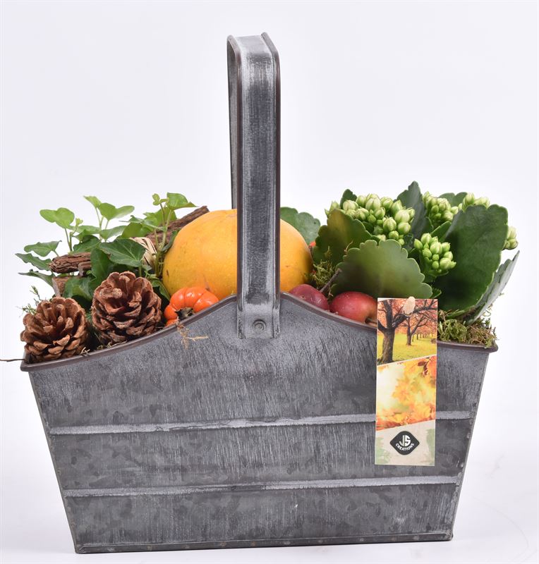 arr. Sierfruit 24cm Pot