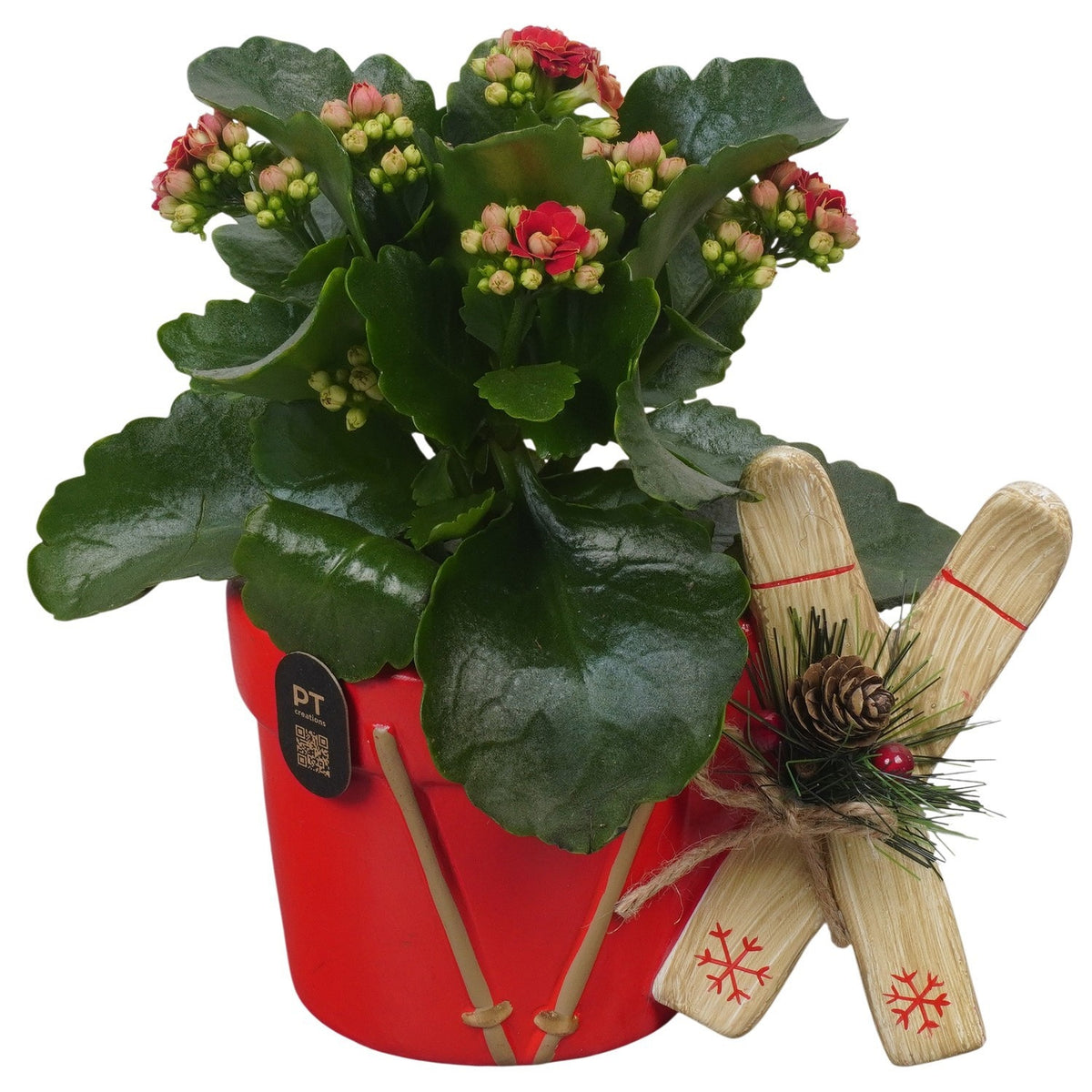 Christmas arrangement 20cm 17cm Pot