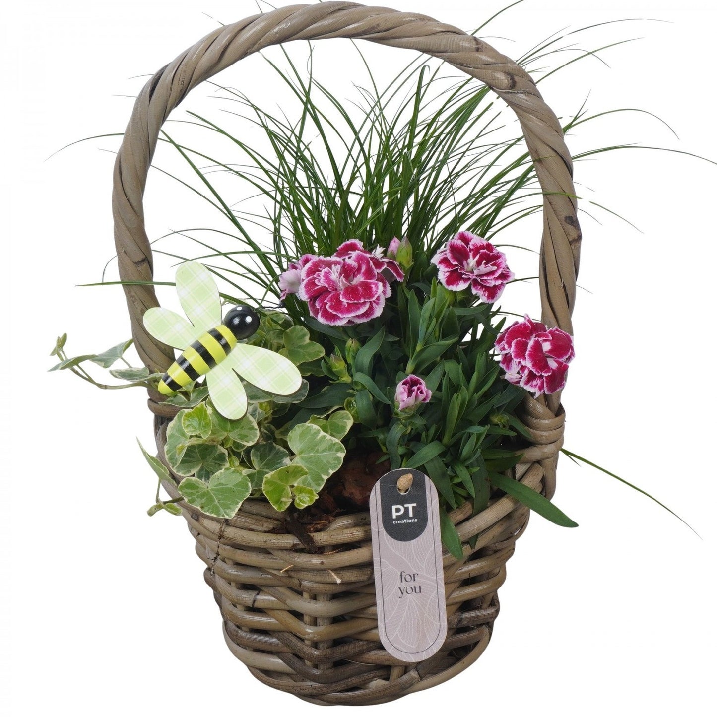 Outdoor arrangement 31cm 14cm Pot