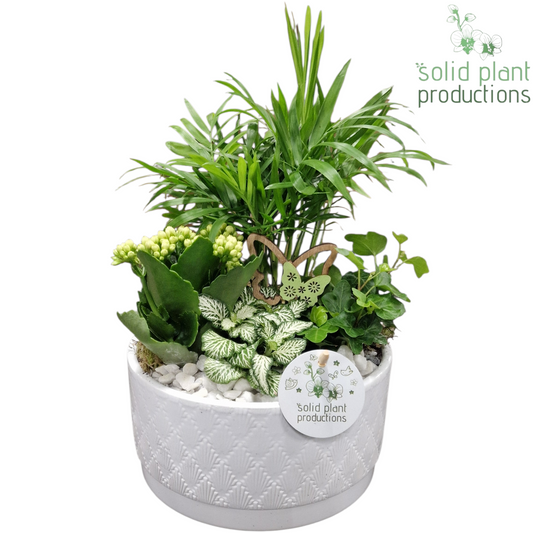 CH003 Loes White 35cm 18cm Pot