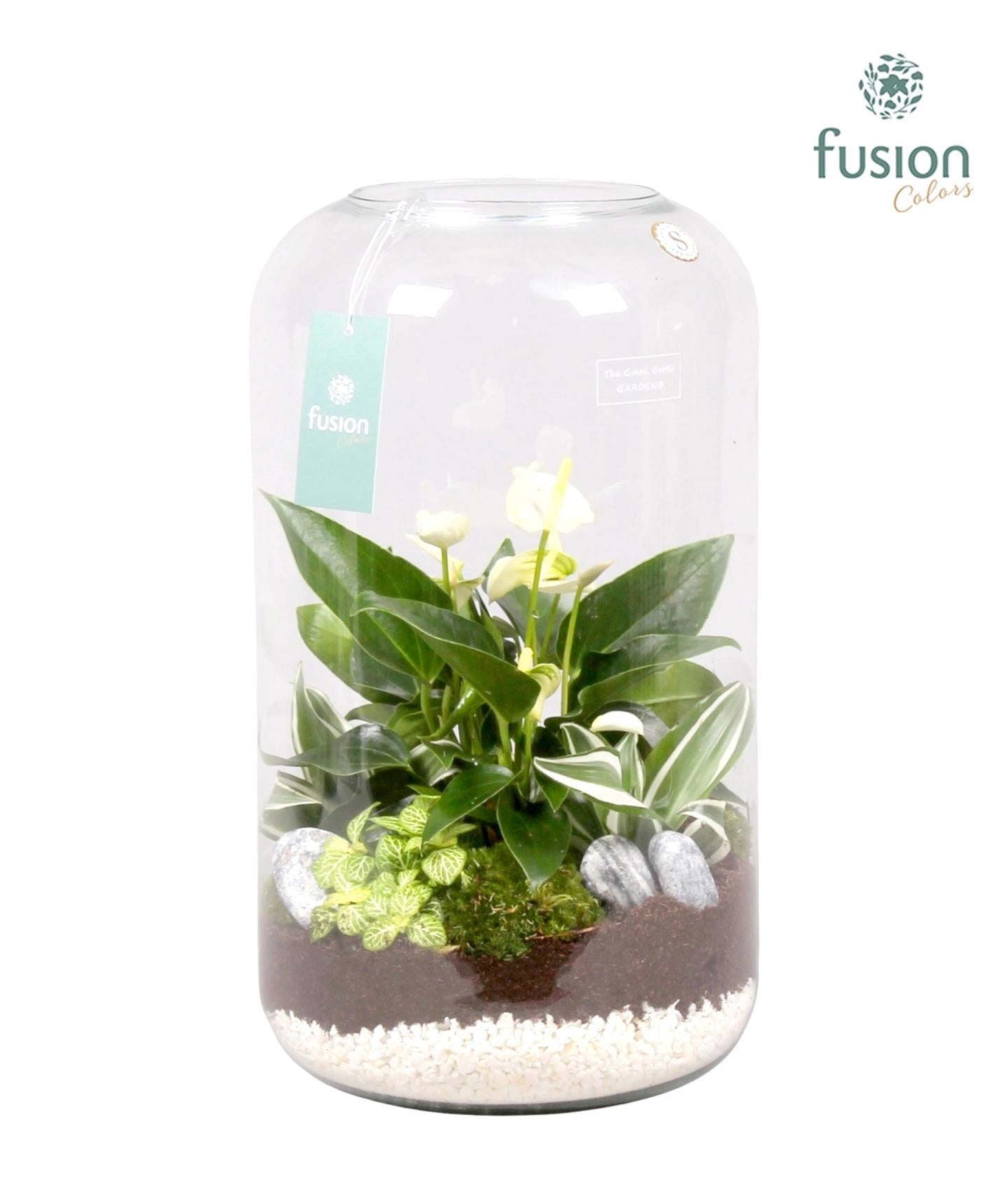Fusioncolors BV Green bottle Isabella XXLarge met white arrangement 5pp Pack of 2