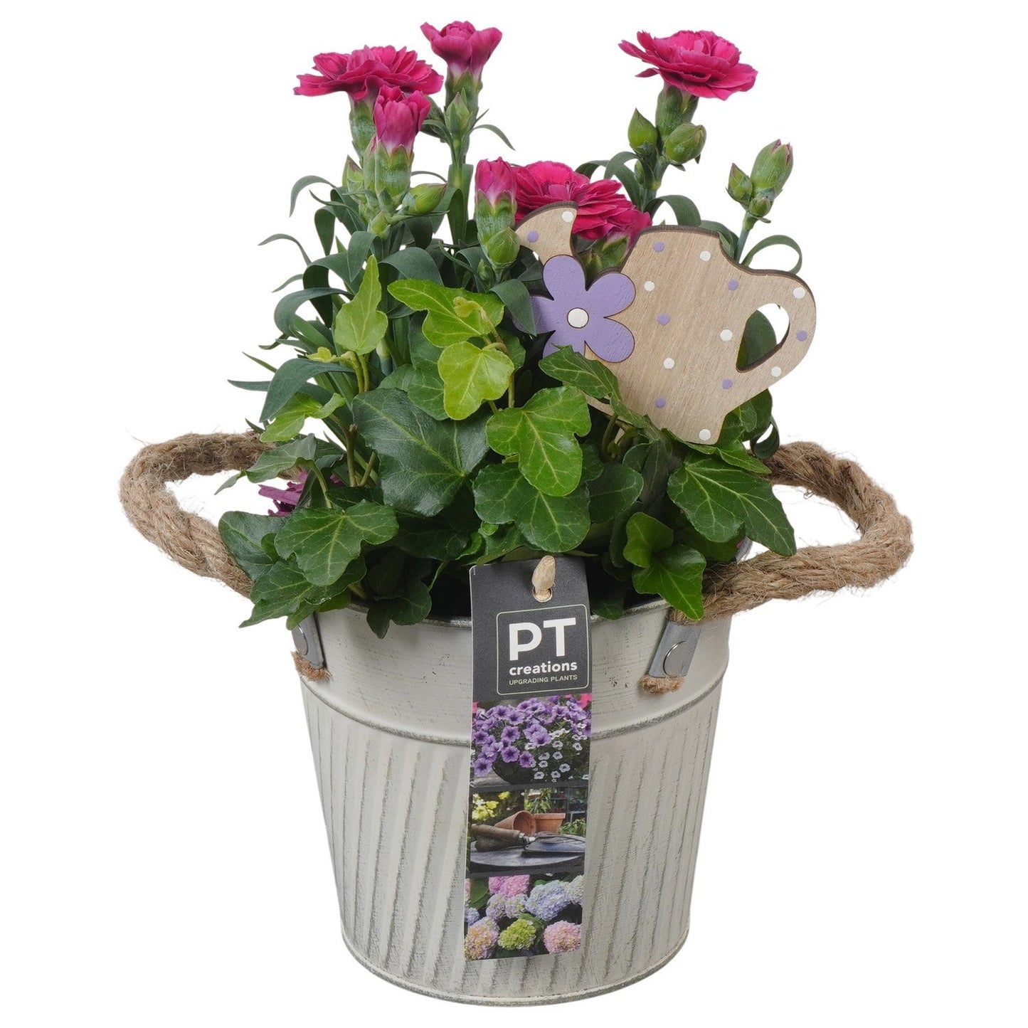 Outdoor arrangement 24cm 13cm Pot