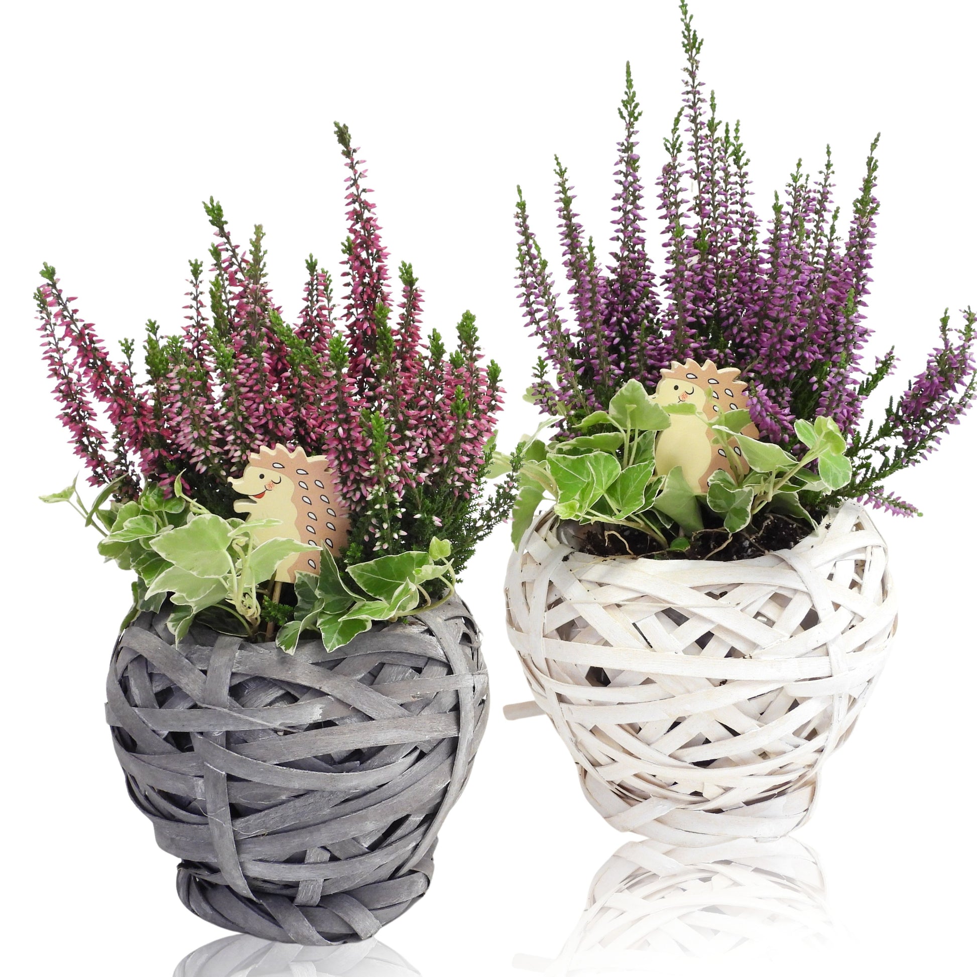 Outdoor arrangement 15cm Pot