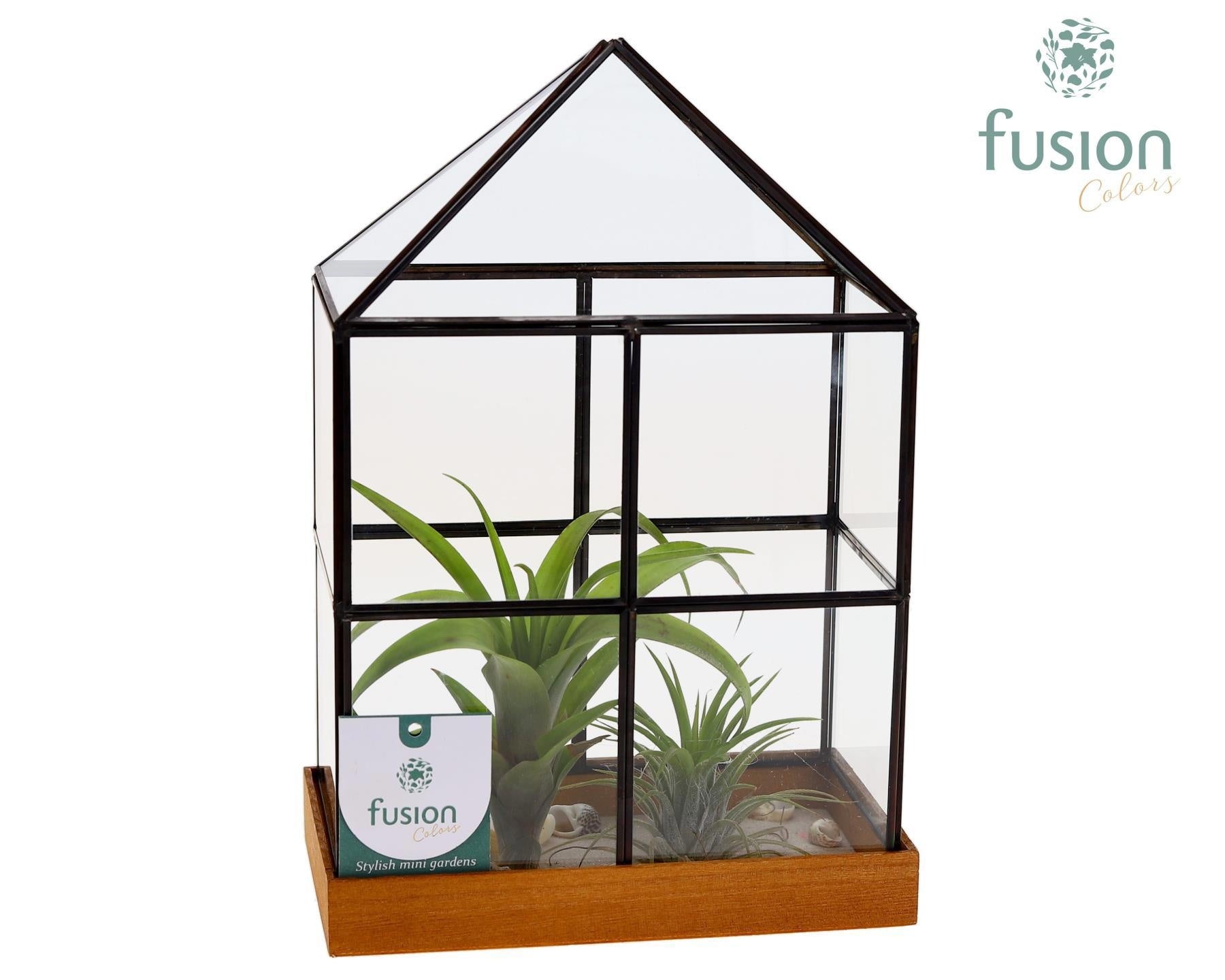 Geometrisch huisje met metaal groot met 29cm 19cm Pot
