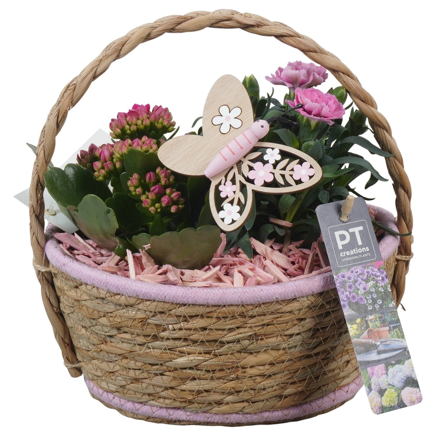 Outdoor arrangement 24cm 20cm Pot