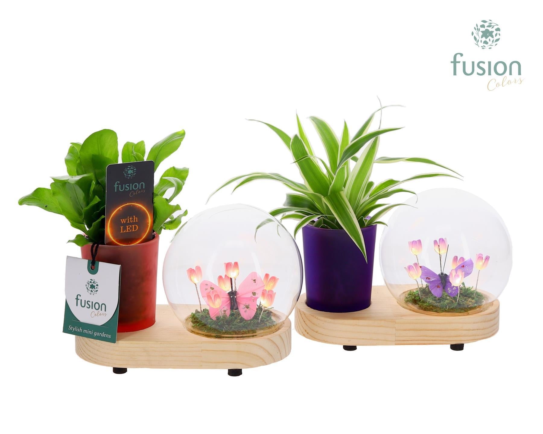 Fusioncolors BV Houten planter LED Lichtbal Bloemen met groene planten Pack of 6
