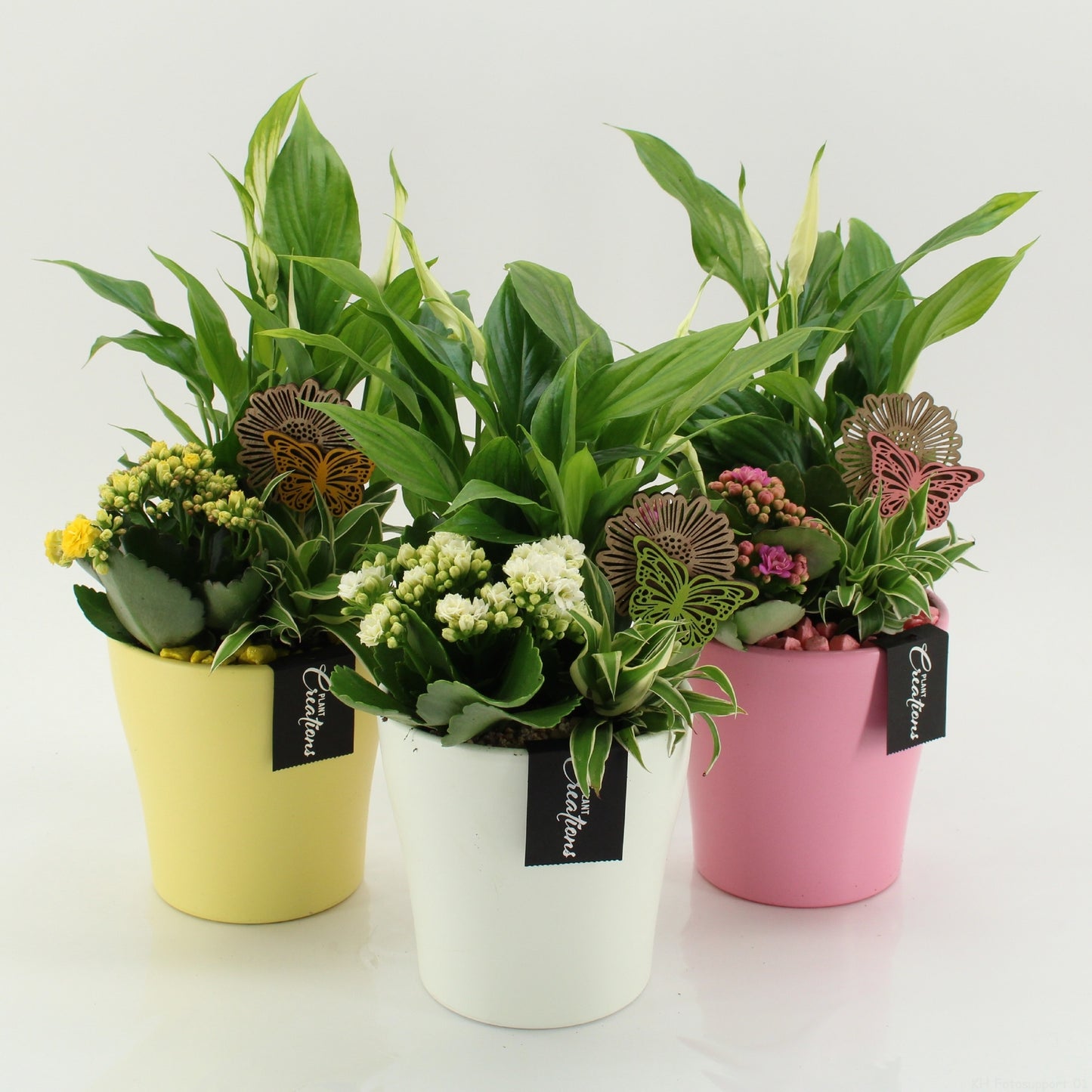 SECR-2621M Summer Essentials Colors 35cm 14cm Pot