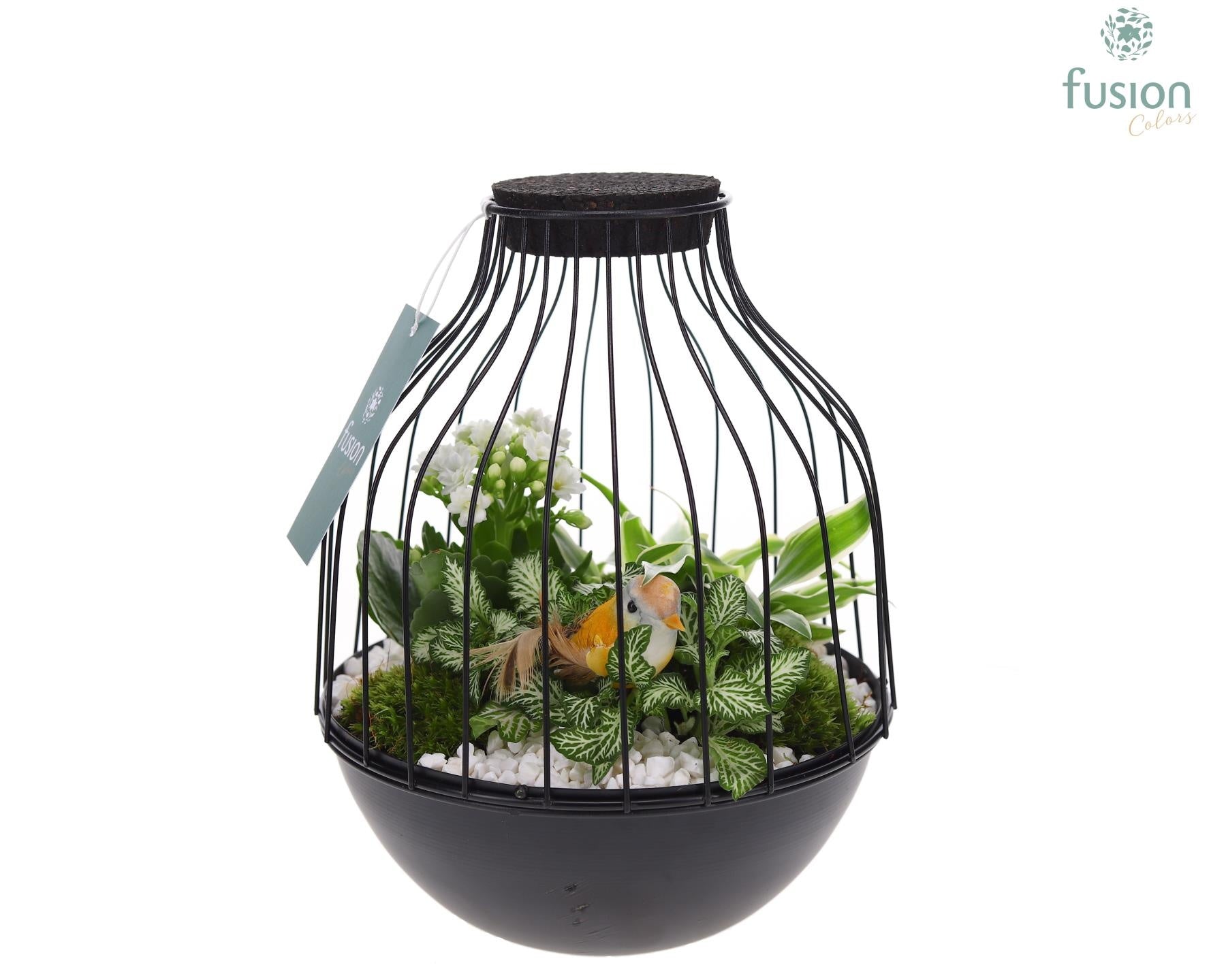 Vogelkooi metaal zwart Medium met arrangement 25cm 19cm Pot