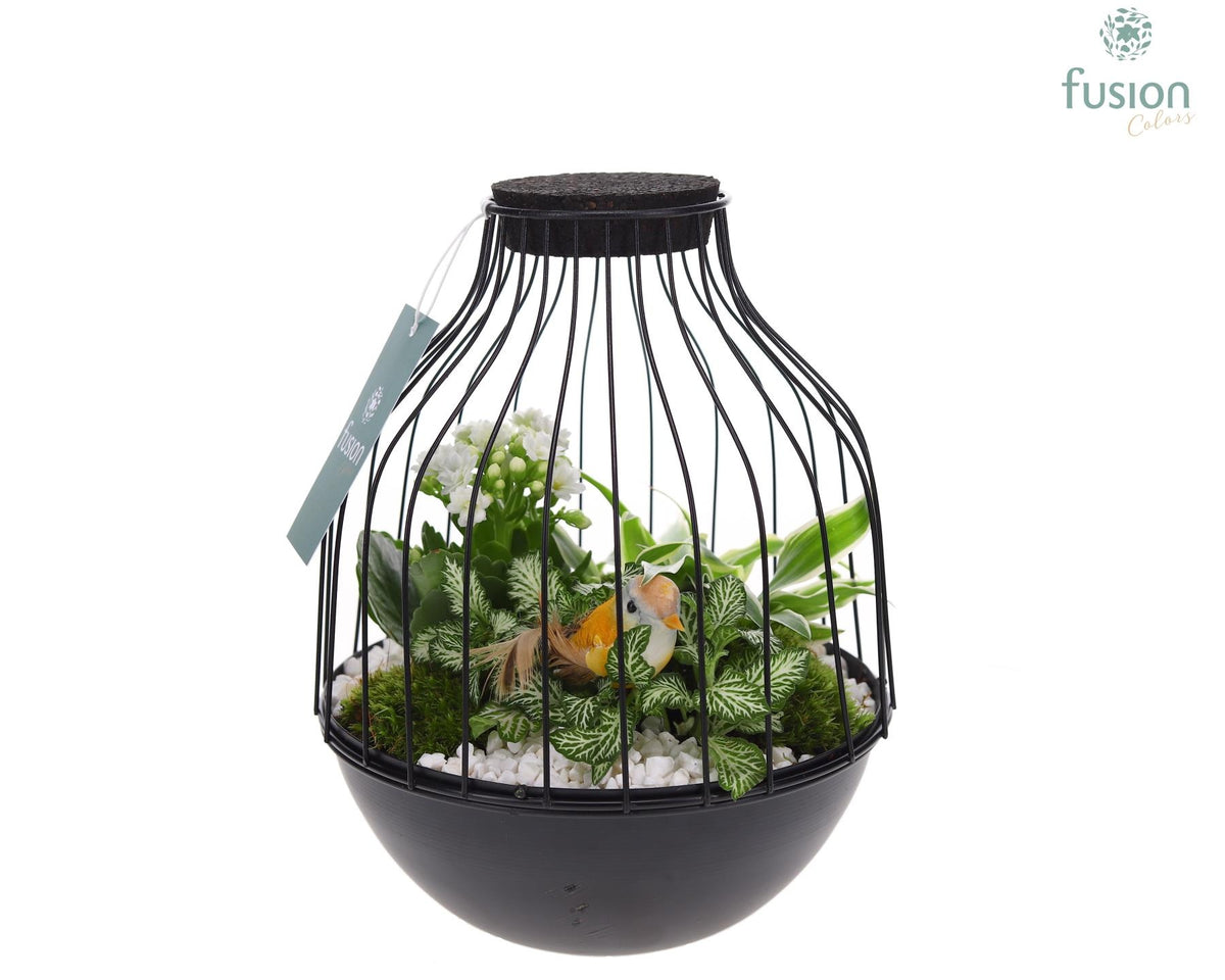 Metaal vogelkooi zwart Medium met arrangement 25cm 19cm Pot