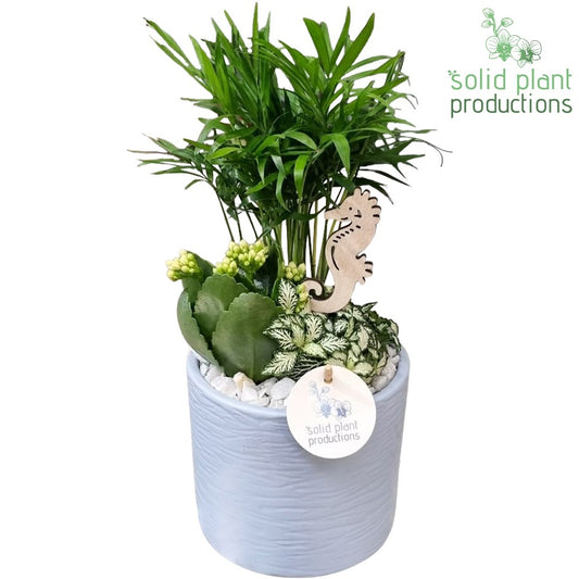 CH001 Amy Blue 35cm 14cm Pot