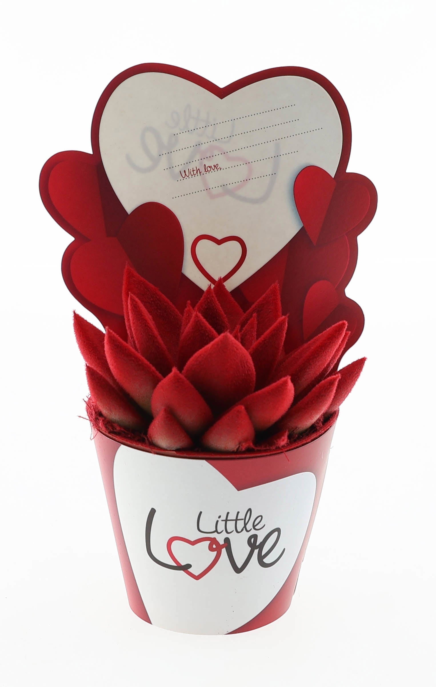 Euro Cactus Holland Bv Potcover little love velvet red Pack of 12