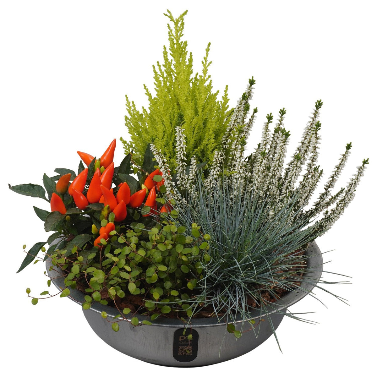 Outdoor arrangement 35cm 29cm Pot