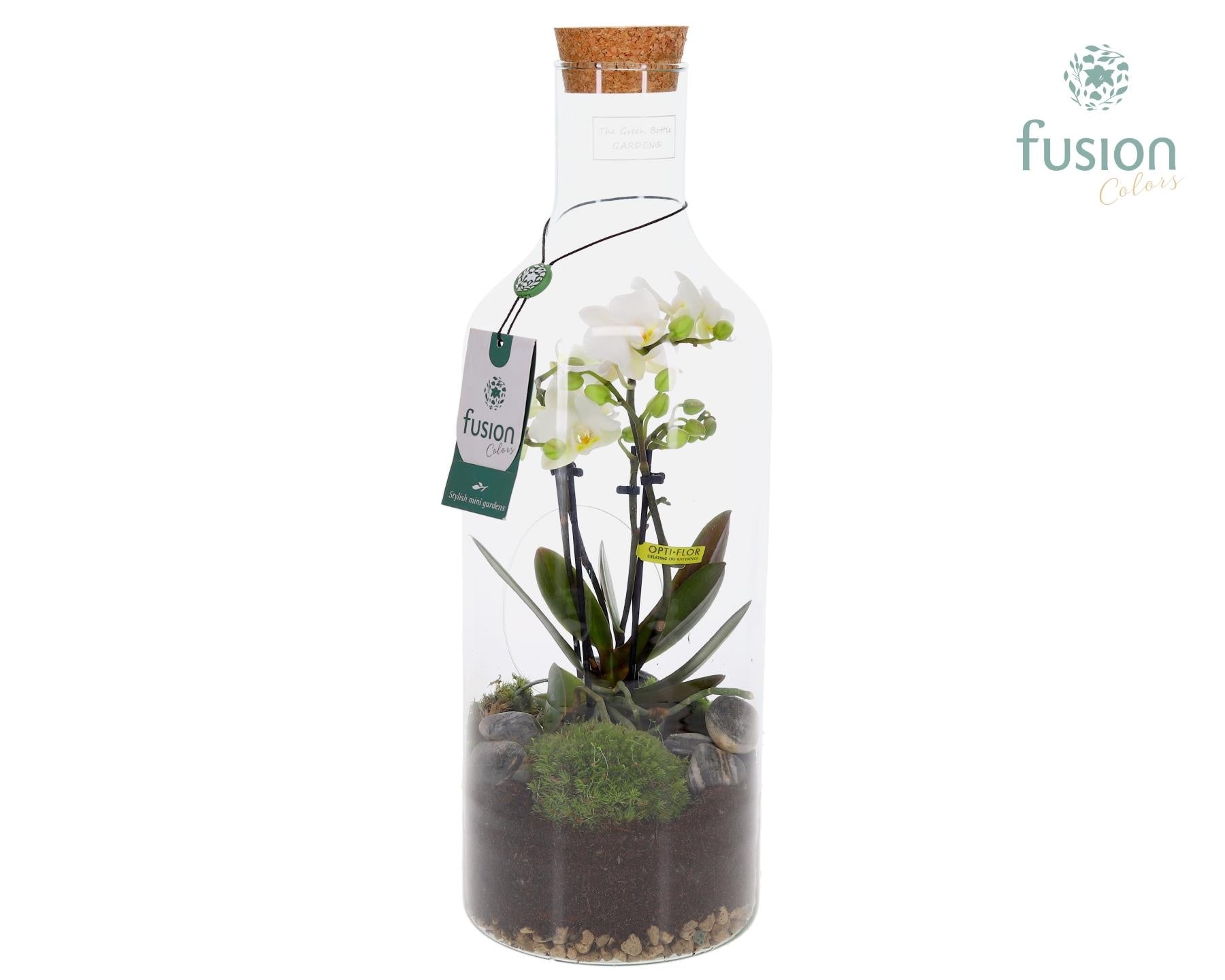 Fusioncolors BV Green Bottle Fles Medium met 4tak Phalaenopsis 24 uurs levertijd Pack of 6