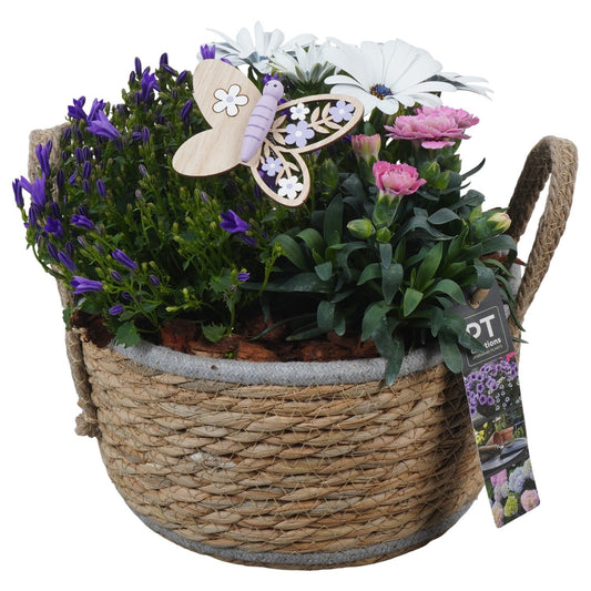 arr. PM196 24cm 22cm Pot