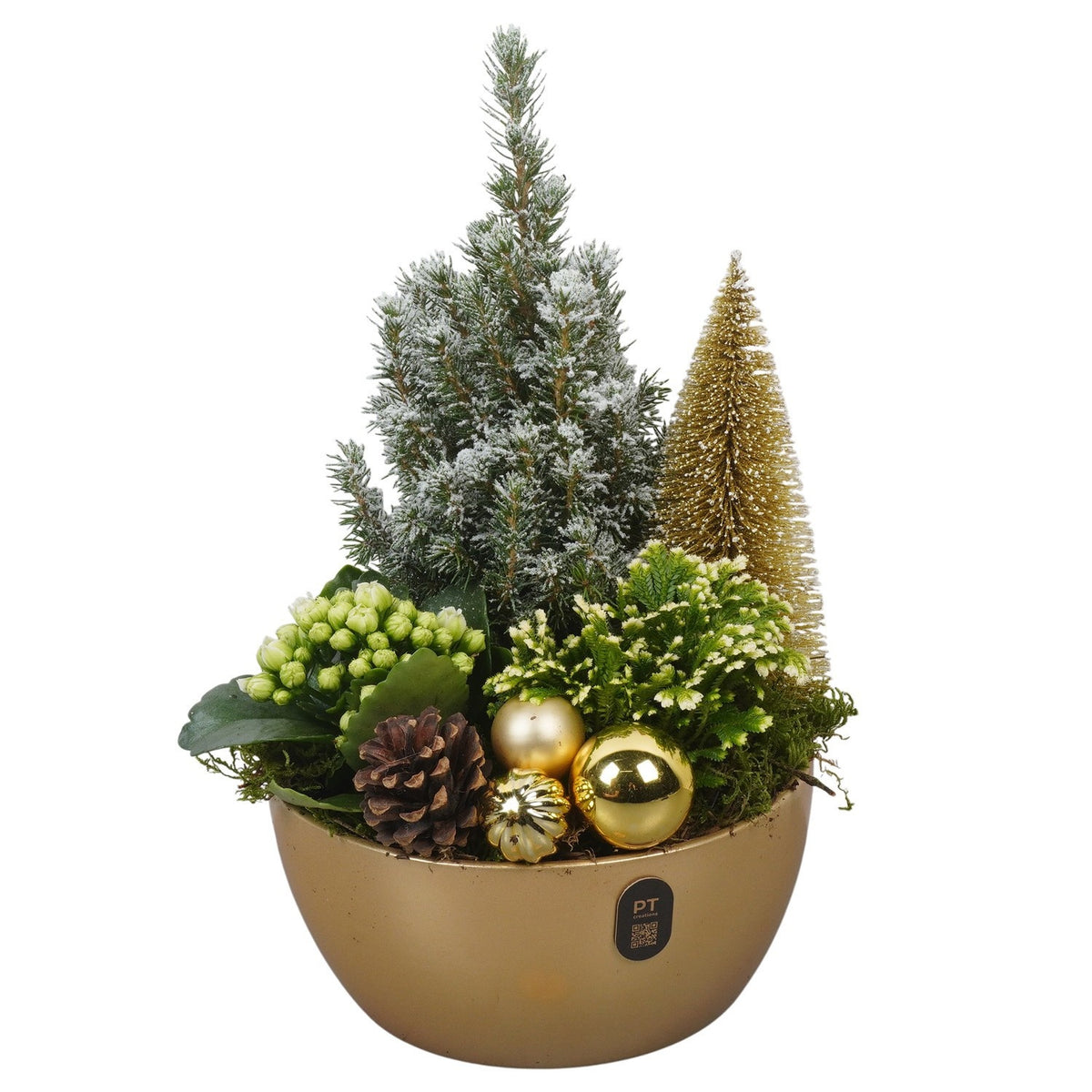 Christmas arrangement 33cm 18cm Pot