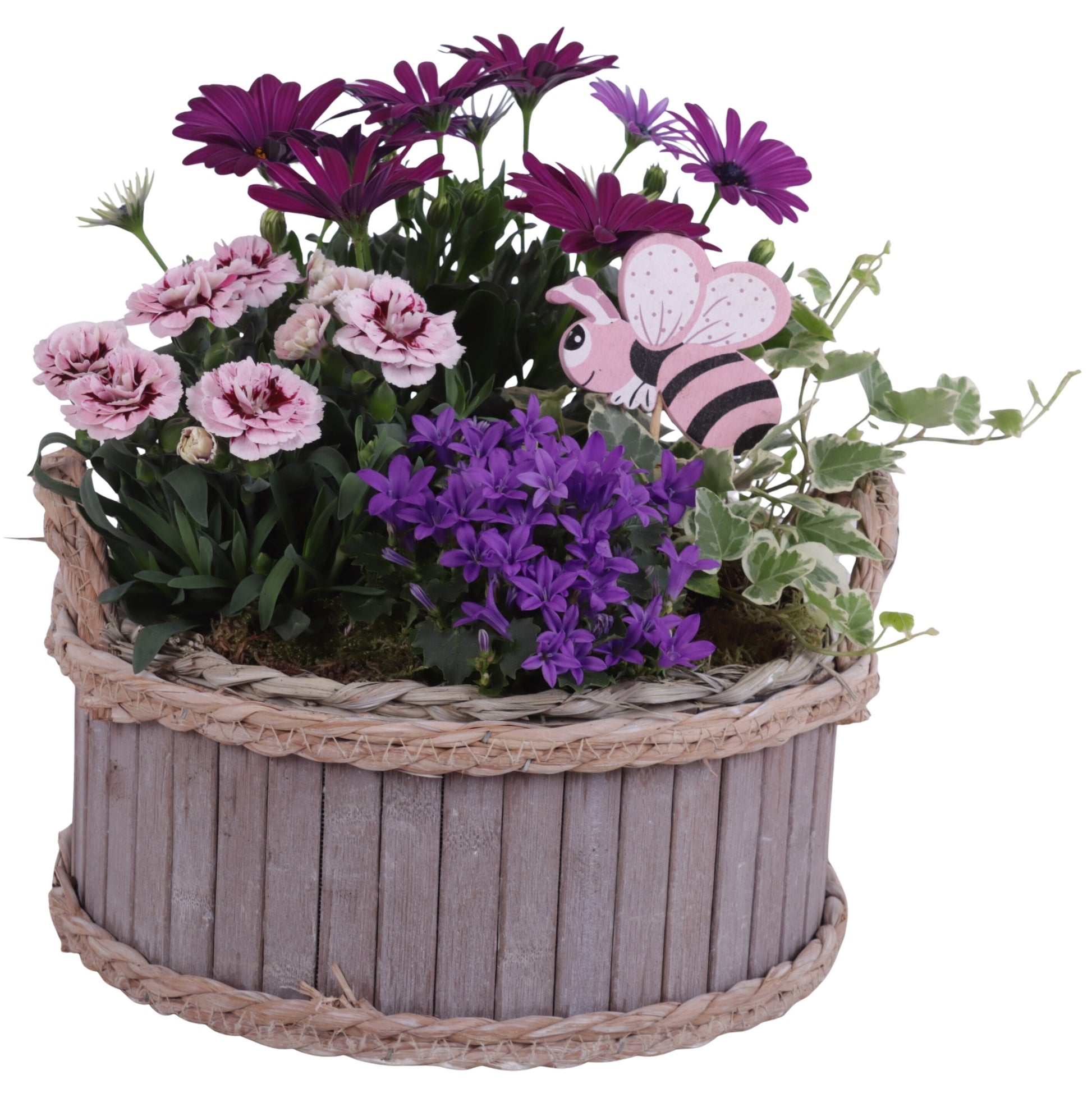 Outdoor arrangement 35cm 25cm Pot