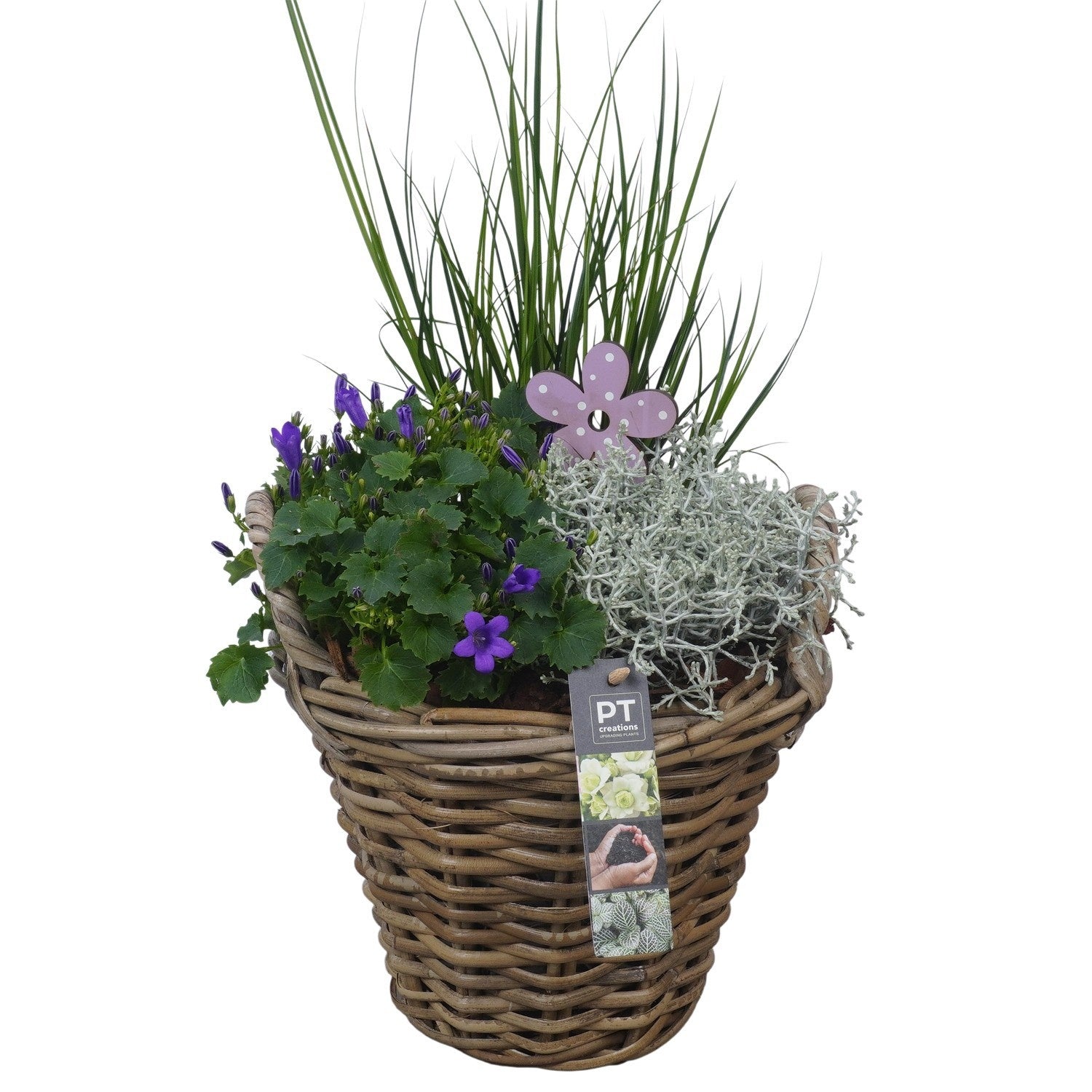 Outdoor arrangement 49cm 23cm Pot