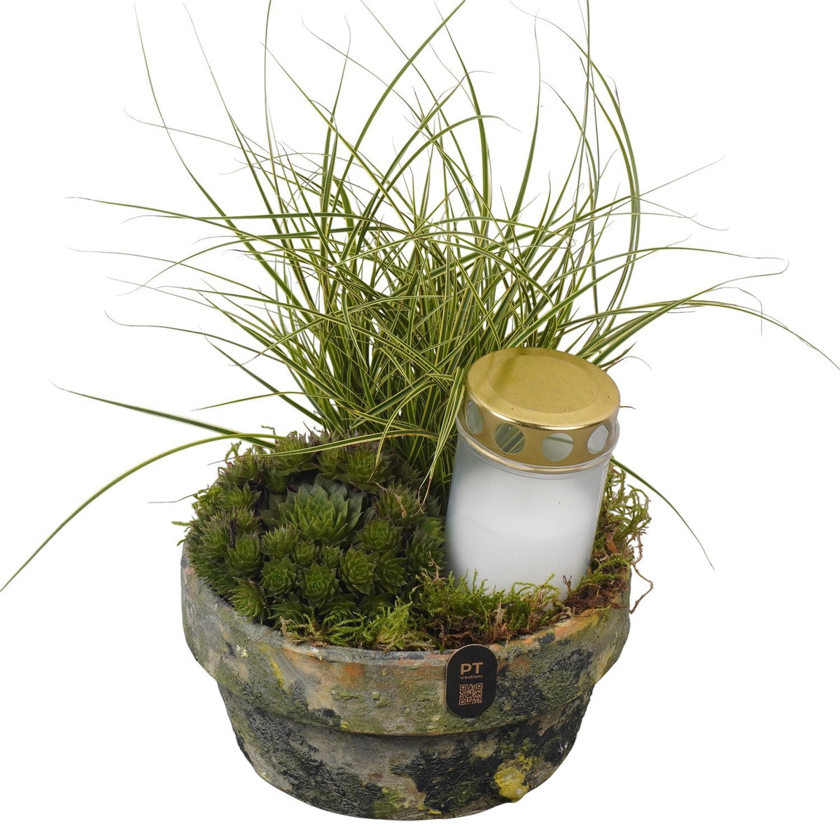 arr. all saints day 30cm 18cm Pot