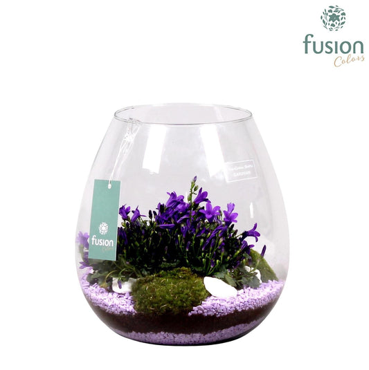Green Bottle Abby Large met Campula purple serie D24 H27 24uur levertijd 29cm 24cm Pot